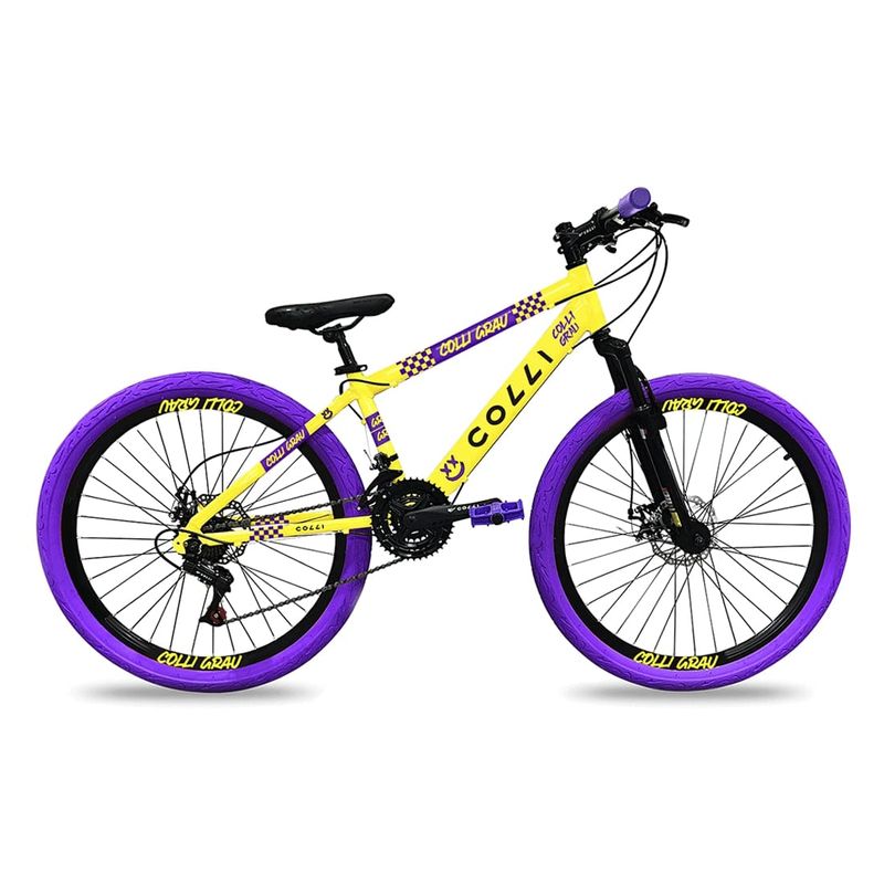 Bicicleta-Aro-26-Grau-Colli
