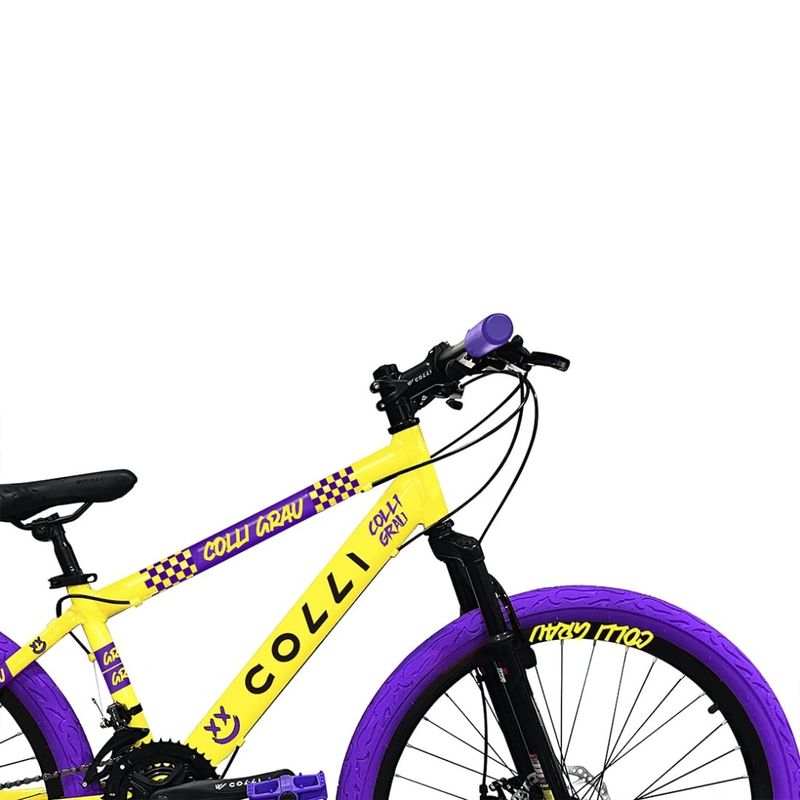 Bicicleta-Aro-26-Grau-Colli